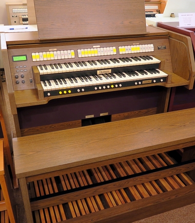 Vivace 40